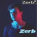 Zerb - Walking On A Dream Empire Of The Sun