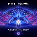 PsyTronic - God Made Me A Sadhu Original Mix