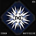 Sternum - What It Feels Like Original Mix