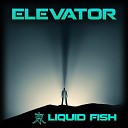 Liquid Fish - Elevator Original Mix