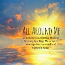 Divine Spa Music Series - In The Present Vipassana Meditation Sound