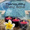 Tranquility Day Spa Music Zone - Beauty SPA Calm Waters