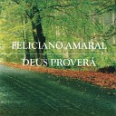Feliciano Amaral - Deus Prover