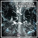 Damitrex - Break It Down Radio Edit