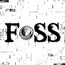 Foss - The Day the Link Rise Again