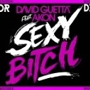 David Guetta amp Akon amp Johnny Smart amp Dj… - Sexy Bitch Dj Exor Mashup Mix