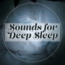 All Night Sleeping Songs to Help You Relax - Contemplation
