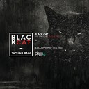 Jaguar Paw - Black Cat Original Mix