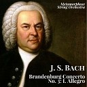 Metamorphose String Orchestra Pavel… - Brandenburg Concerto No 3 in G Major BWV 1048…
