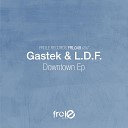 Gastek L D F - One Day In This Place Original Mix