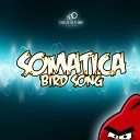 SOMATICA - Bird Song Original Mix