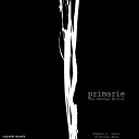 Primarie - I Am The Smokey Mirror Damien K Sahri Remix