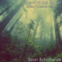 Sean Schafianski - Secret of the Forest From Chrono Trigger