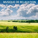 Musique De Relaxation - Keep On Sad Piano Song