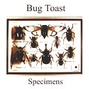 Bug Toast - T V Loser