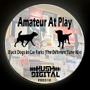 Amateur At Play - Black Dogs In Car Parks The Different Tune…