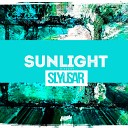 DJ SLYUSAR - Sunlight TRACK 8 Mixed By Dj Slyusar Fiesta…