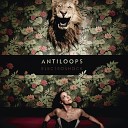 Antiloops feat DJ Greem - Electroshock