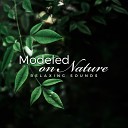 Soothing Music Academy - Balance of Two Souls