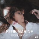Shahin Shantiaei - Grey Hours Original Mix