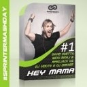 David Guetta Nicki Minaj Afrojack vs DJ Viduta DJ… - Hey Mama DJ Alex Sprinter Mashup