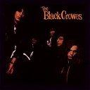 Black crowes - Struttin blues