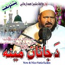 Hafiz Bashir Ahmad Armani - Da Janan Meena