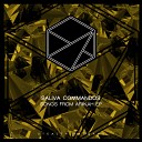 Saliva Commandos - That Late Show Came To Get Down Original Mix