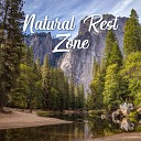 Rest Relax Nature Sounds Artists - Positive Thinking