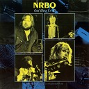 NRBQ - Shake Rattle Roll Live 1987