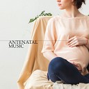 Pregnancy Relaxation Orchestra - Sweetness on the Earth