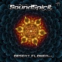 SoundSpirit - State Of Mind Original Mix