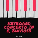 Tiu Don - Keyboard Concerto No 2 in E Major BWV 1053 II…