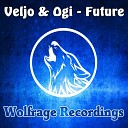 Veljo Ogi - Future Original Mix