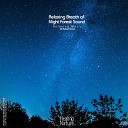 Nature Sound Band - Starry Night