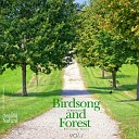 Nature Sound Band - Birds and Forest Sound 5