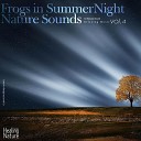 Nature Sound Band - Relaxing Sounds from Forest 12