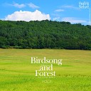 Nature Sound Band - Birds and Forest Sound 3