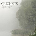 Nature Sound Band - Cricket Sounds