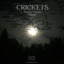 Nature Sound Band - Relaxing Outside Cricket Sound
