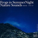 Nature Sound Band - Echo from Grand Nature 10