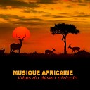 African Music Drums Collection - Guide vaudou