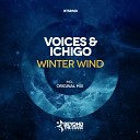 Voices Ichigo - Winter Wind Original Mix