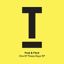 Prok Fitch - One of These Days Original Mix