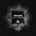 SOULNEK - Sin Pam Original Mix