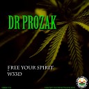 Dr Prozak - Free Your Spirit Original Mix
