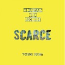 Yoshi Sushi - Scarce Original Mix