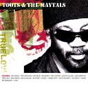 Toots and The Maytals No Doubt - Monkey Man