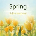 Salim Meghani - Spring
