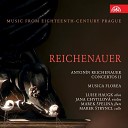 Musica Florea, Marek Špelina - Flute Concerto in G Major: I. Allegro
